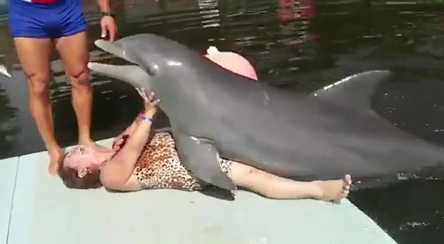 Видео Секс С Дельфином